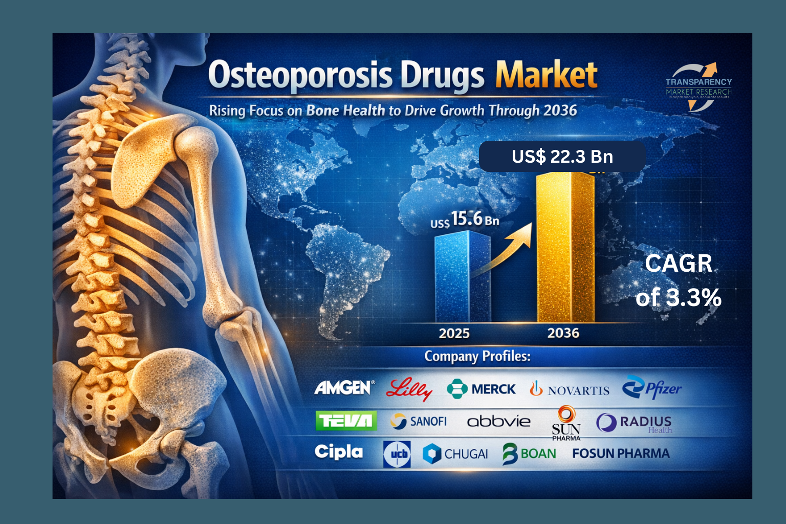 The global osteoporosis drugs market size was valued at US$ 15.6 Bn in 2025 and is projected to reach US$ 22.3 Bn by 2036, expanding at a CAGR of 3.3% from 2026 to 2036.